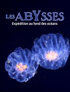 Ascenseur pour les abysses : Expédition au fond des océans