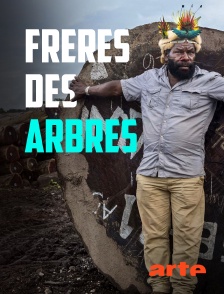 Frères des arbres, l'appel d'un chef papou