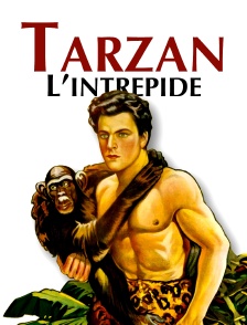 Tarzan l'intrépide