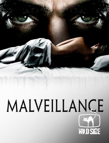 Molotov channels - Malveillance