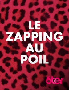 6ter - Le zapping au poil