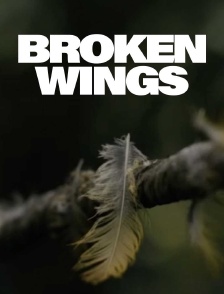 Broken wings