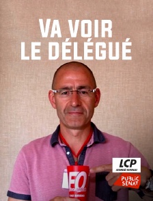 Va voir le délégué