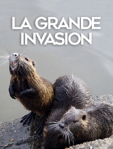 La grande invasion
