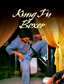 Kung Fu Boxer