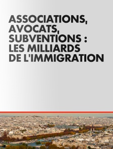 Associations, avocats, subventions : les milliards de l'immigration