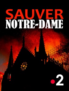 France 2 - Sauver Notre-Dame