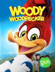 Woody Woodpecker, le film