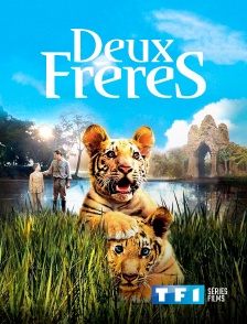 TF1 Séries Films - Deux Frères