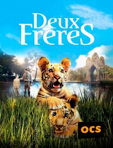 OCS - Deux Frères