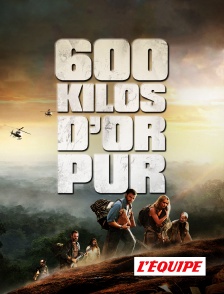 600 kilos d'or pur