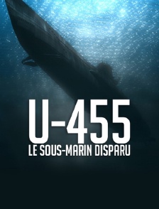 U-455, le sous-marin disparu