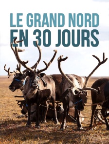 Le Grand Nord en 30 jours
