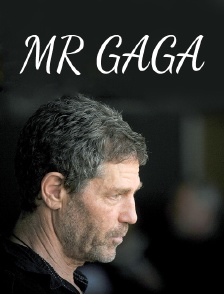 Mr Gaga