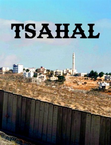 Tsahal : L'armée israélienne à l'épreuve