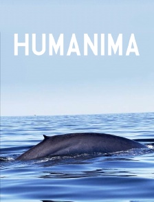 Humanima