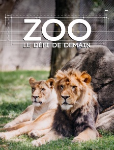 Zoo : le défi de demain