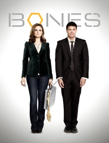 Bones