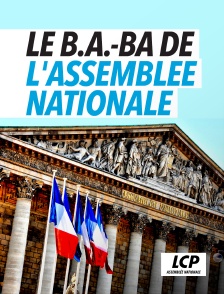 LCP 100% - Le B.A.-BA de l'Assemblée nationale