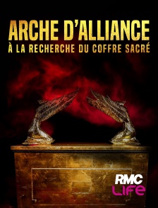 RMC Life - Arche d'alliance : le mystère du coffre sacré