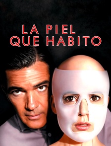 La piel que habito