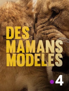 France 4 - Des mamans modèles