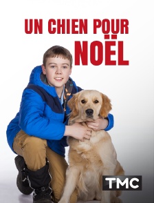 Un chien pour Noël