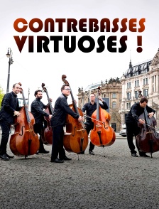 Contrebasses virtuoses ! Avec l'ensemble Bassiona Amorosa