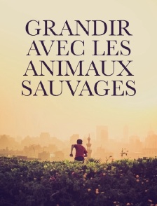 Grandir avec les animaux sauvages
