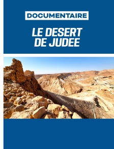 Le désert de Judée - Une montée intérieure