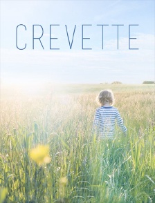 Crevette