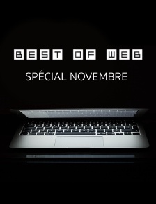 Best Of Web «Spécial Novembre»