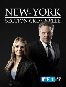 New York, section criminelle