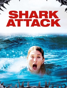Shark Attack