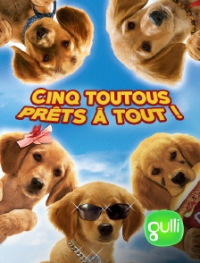 Gulli - Cinq toutous prêts à tout !