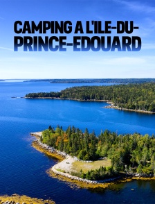 Camping à l'Île