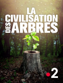 France 2 - La civilisation des arbres