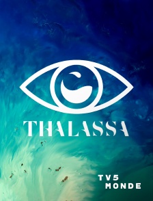 TV5MONDE - Thalassa