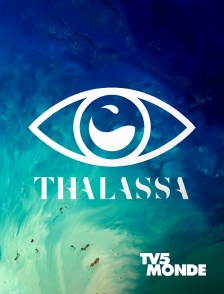 TV5MONDE - Thalassa