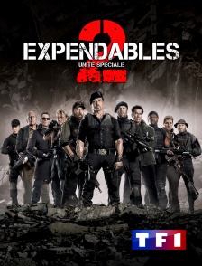 TF1 - Expendables 2