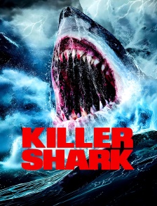 Killer Shark