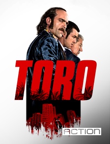 ACTION - Toro en replay