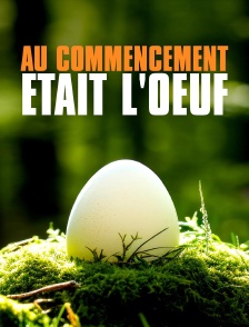 Au commencement était l'oeuf : les animaux ovipares