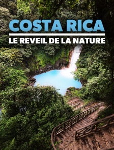 Costa Rica : Le réveil de la nature
