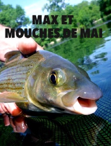 Max et mouches de mai