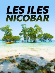 Les îles Nicobar, renaissance d'un archipel