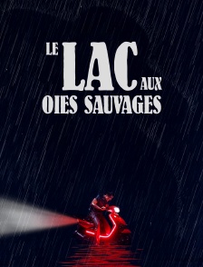 Le lac aux oies sauvages