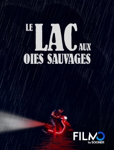 FilmoTV - Le lac aux oies sauvages