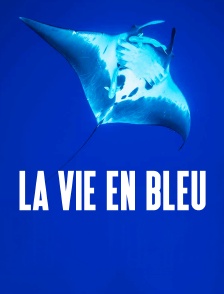 La vie en bleu