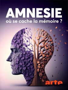 Arte - Amnésie : Où se cache la mémoire ?